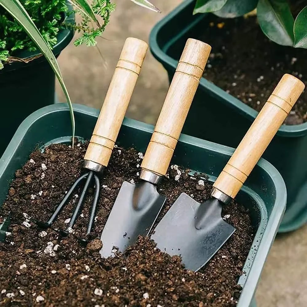 Mini Garden Tool Set (3 Pieces) for Indoor and Outdoor Plant Care, Ideal for Cacti, Vegetables, and Small Flower Pots
